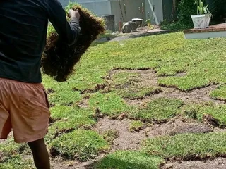 Instant grass