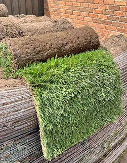 Evergreen grass fresh from the farm