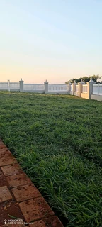 All season fresh grass