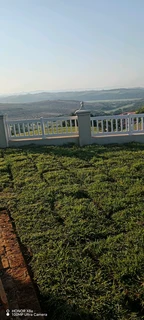 All season fresh grass