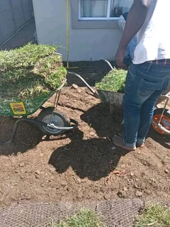 Evergreen grass fresh from the farm