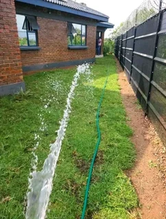 Evergreen grass fresh from the farm