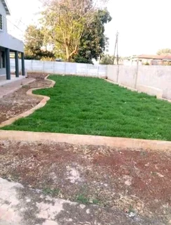 Instant grass