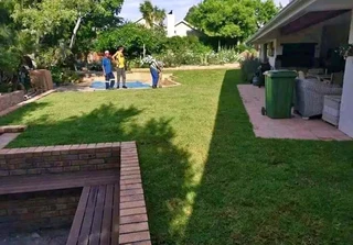 All season fresh grass