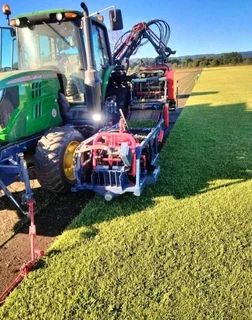 All season fresh grass