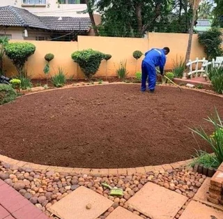 All season fresh grass