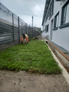 Instant grass