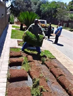 Evergreen grass fresh from the farm