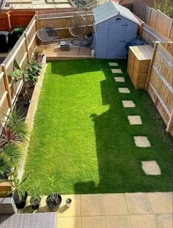 Evergreen grass fresh from the farm