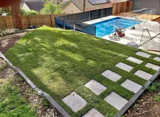 instant grass