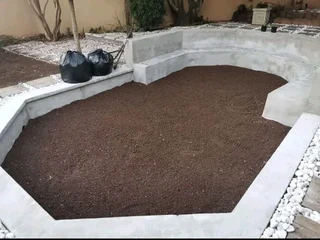 Evergreen grass fresh from the farm