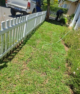 Evergreen grass fresh from the farm