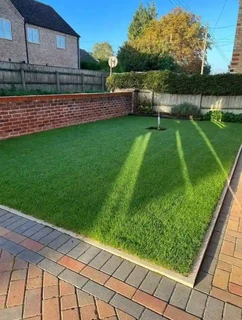 Evergreen grass fresh from the farm