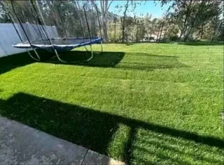 instant grass