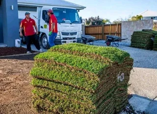 Evergreen grass fresh from the farm