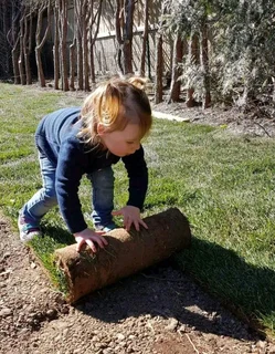 Evergreen grass fresh from the farm