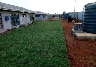 Evergreen grass fresh from the farm