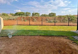 Evergreen grass fresh from the farm