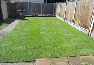 instant grass