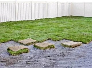 instant grass