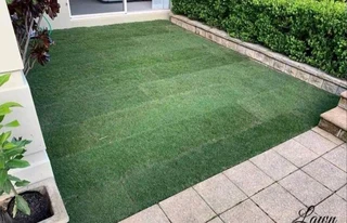 Evergreen grass fresh from the farm