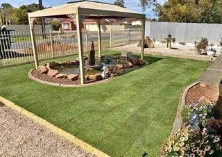 Evergreen grass fresh from the farm