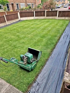 instant lawn