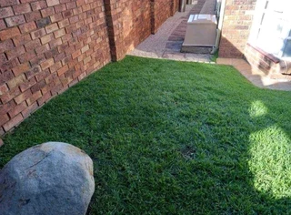 instant lawn