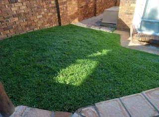 instant lawn
