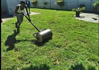 Evergreen grass fresh from the farm