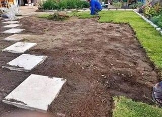 Evergreen grass fresh from the farm