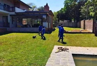 Evergreen grass fresh from the farm