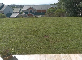 Evergreen grass fresh from the farm