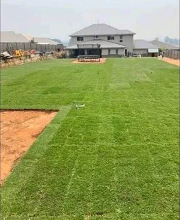 Evergreen grass fresh from the farm