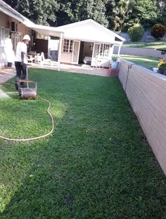 Evergreen grass fresh from the farm