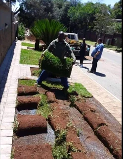 Green grass fresh from the farm