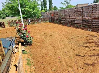 Green grass fresh from the farm