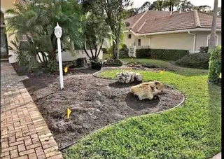 Green grass fresh from the farm