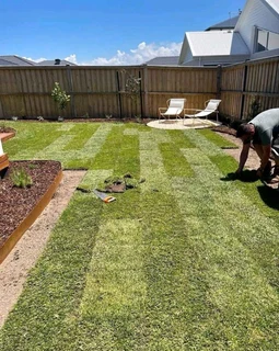 Instant lawn