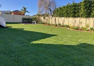 Instant lawn