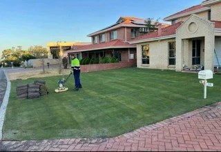 Instant lawn