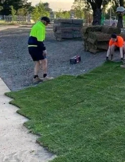 Instant lawn