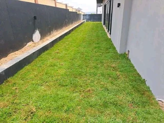 Instant grass