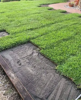 Instant grass
