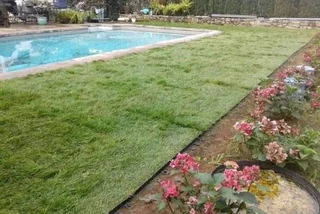 Instant lawn
