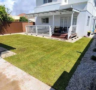 Instant lawn