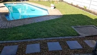 Instant lawn