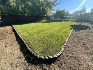 Instant lawn