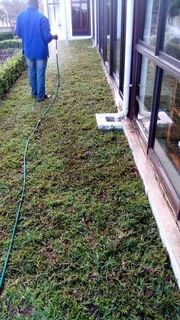 Instant lawn