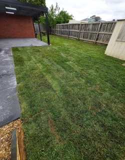 Instant grass